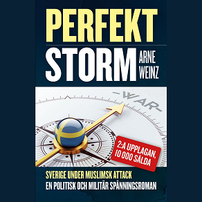 Omslagsbild för Perfekt storm