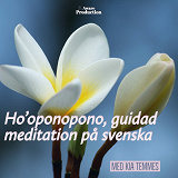 Cover for Hooponopono, guidad meditation