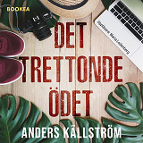 Omslagsbild för Det trettonde ödet