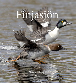 Cover for Finjasjön