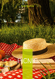 Cover for Picnic