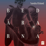 Cover for Bedårarna