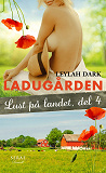 Cover for Lust på landet 4: Ladugården