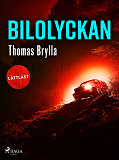 Omslagsbild för Bilolyckan