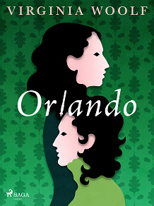 Omslagsbild för Orlando