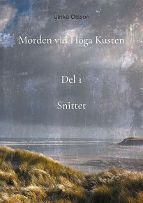 Cover for Morden vid Höga Kusten: Snittett