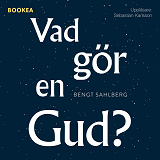 Cover for Vad gör en Gud?