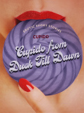 Omslagsbild för Cupido from Dusk Till Dawn: A Collection of the Best Erotic Short Stories