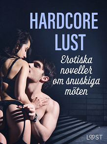 Omslagsbild för Hardcore Lust: Erotiska noveller om snuskiga möten