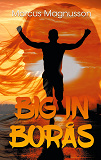 Cover for Big in Borås