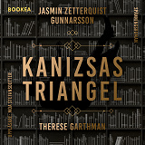 Omslagsbild för Kanizsas triangel
