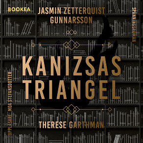 Cover for Kanizsas triangel