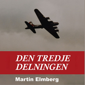 Omslagsbild för Den tredje delningen