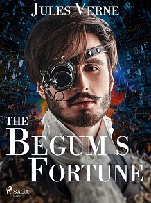 Omslagsbild för The Begum's Fortune