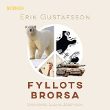 Omslagsbild för Fyllots Brorsa