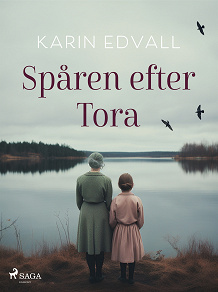 Omslagsbild för Spåren efter Tora