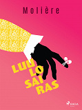 Cover for Luulosairas