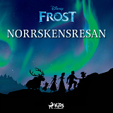 Omslagsbild för Norrskensresan