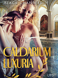Omslagsbild för Caldarium Luxuria - erotisk novell