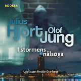 Omslagsbild för I stormens nålsöga