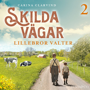 Omslagsbild för Lillebror Valter