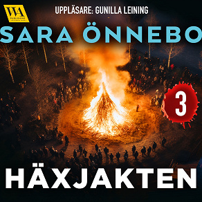 Cover for Häxjakten 3