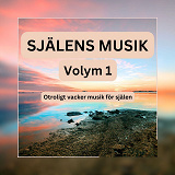 Cover for SJÄLENS MUSIK - Otroligt vacker musik för själen - Volym 1