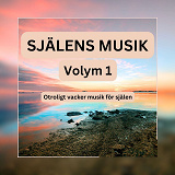 Omslagsbild för SJÄLENS MUSIK - Otroligt vacker musik för själen - Volym 1