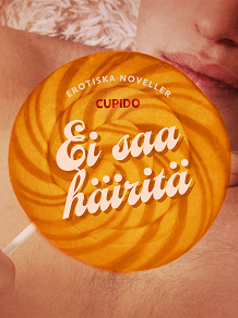 Omslagsbild för Ei saa häiritä – eroottinen novellikokoelma