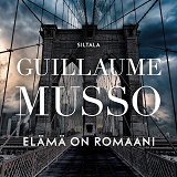 Cover for Elämä on romaani