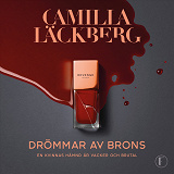 Cover for Drömmar av brons