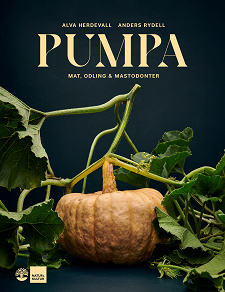 Cover for Pumpa : mat, odling & mastodonter