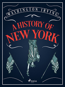 Omslagsbild för A History of New York