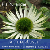 Omslagsbild för Att lita på Livet. Själens mörka natt, Själssplittring och Karmahjul