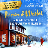 Omslagsbild för Julestrid i bonusfamiljen