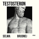 Bokomslag för Testosteron