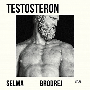 Omslagsbild för Testosteron