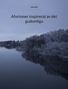 Omslagsbild för Aforismer inspirerat av det gudomliga