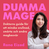 Cover for Dumma mage : doktorns guide för att minska svullnad, smärta och andra magbesvär