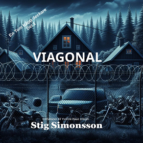 Omslagsbild för Viagonal