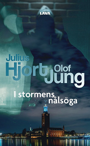 Omslagsbild för I stormens nålsöga