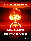 Omslagsbild för De som blev kvar