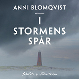 Cover for I stormens spår
