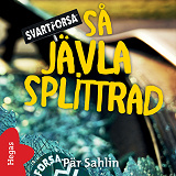 Omslagsbild för Så jävla splittrad