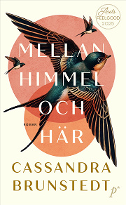 Cover for Mellan himmel och här