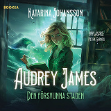 Cover for Den försvunna staden
