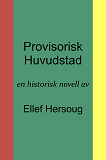 Omslagsbild för Provisorisk Huvudstad