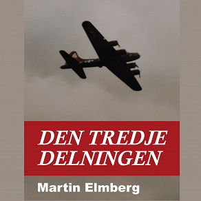 Omslagsbild för Den tredje delningen