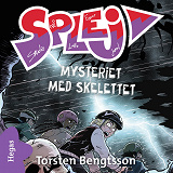 Omslagsbild för Mysteriet med skelettet