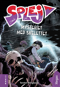 Omslagsbild för Mysteriet med skelettet